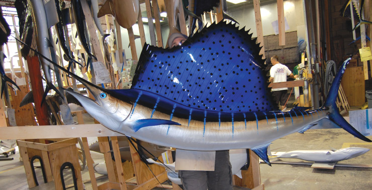 Atlantic Sailfish mount shop