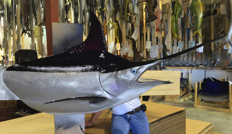Click to zoom Black Marlin Headmount