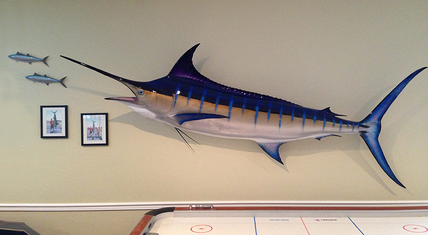 Click to zoom Blue Marlin and Flyingfish action scene