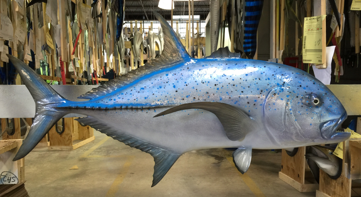Bluefin Trevally Bluefin Trevally