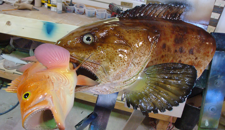 Custom Lingcod Headmount trophy Lingcod Headmount