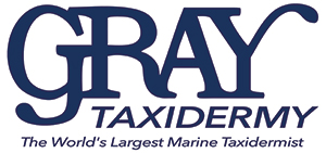 Gray Taxidermy Logo jpg Gray Taxidermy Logo
