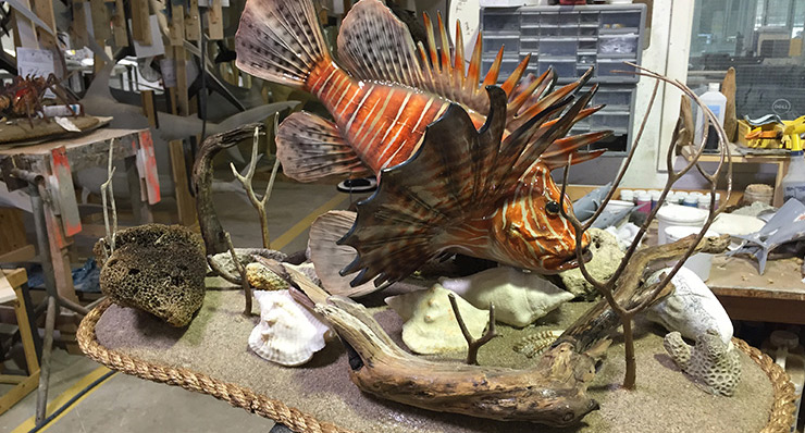 Lionfish custom base Lionfish custom base