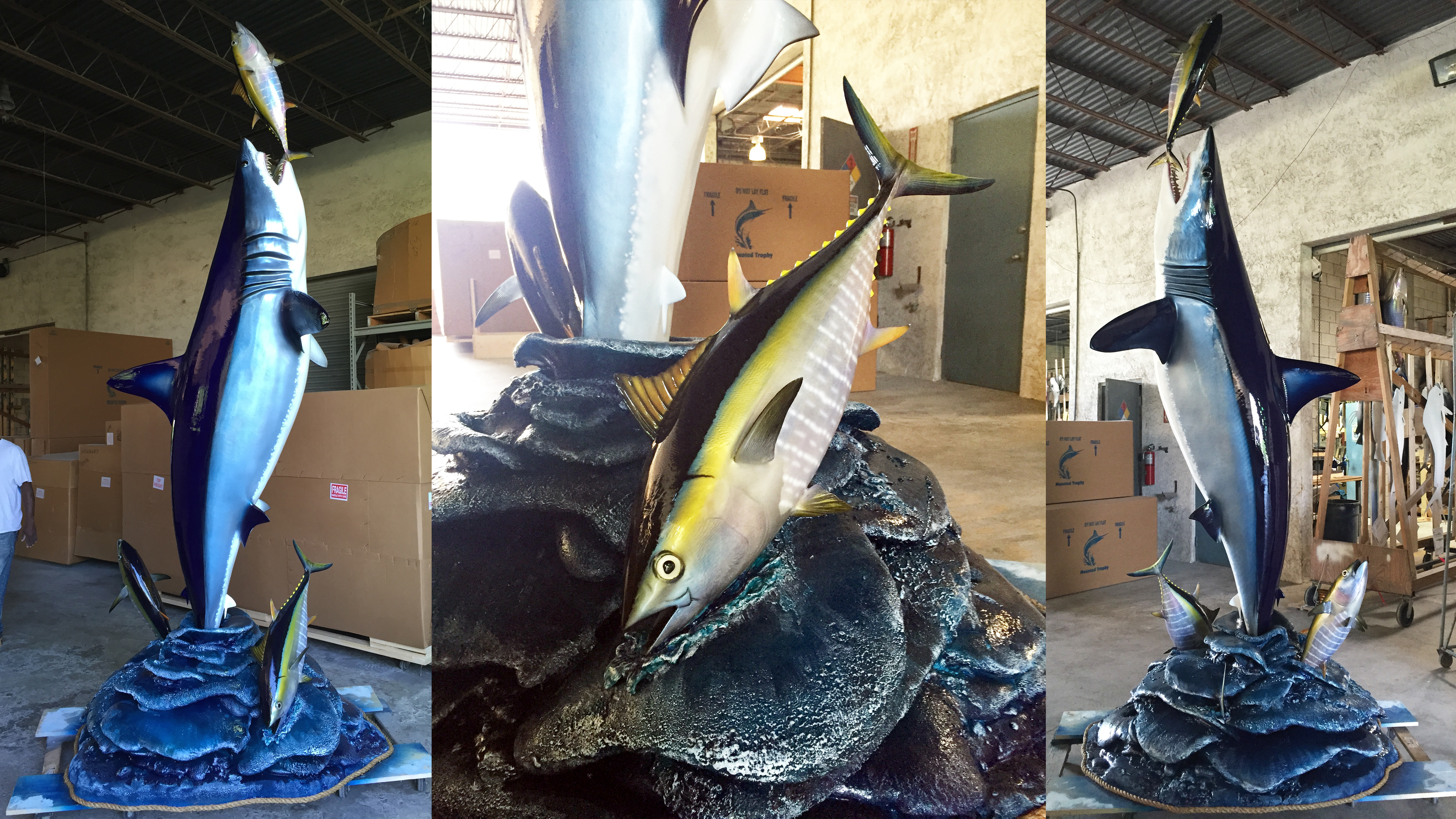 Mako shark wave mount with Yellowfin Tuna Mako shark wave mount