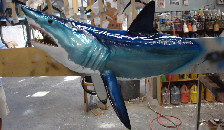 Mako Shark Head mount trophy Mako Shark Headmount