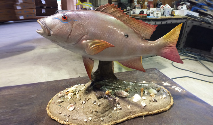 Mutton Snapper replica on custom ocean floor base Mutton Snapper mount on custom ocean floor base