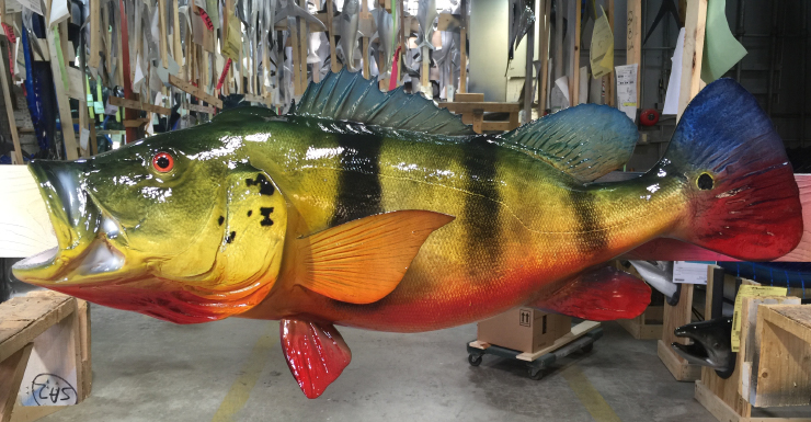 Peacock Bass release mount Peacock Bass fishmount