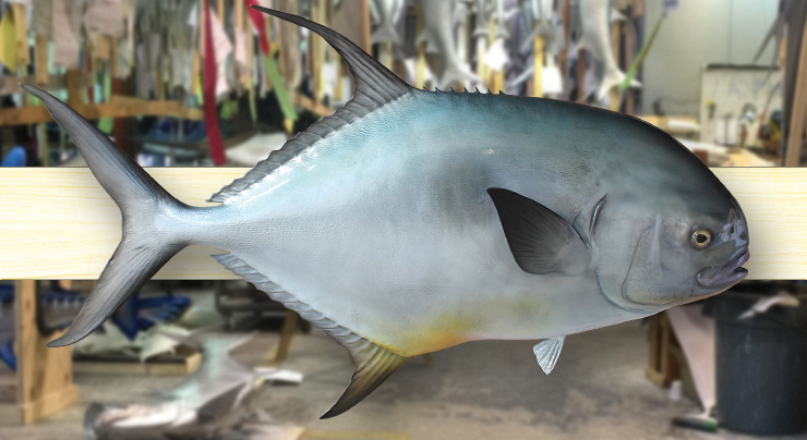 Permit fishmount replica Permit fishmount traditional