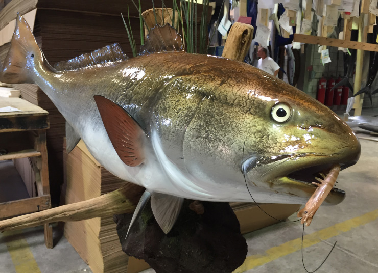 Redfish mount custom Custom Redfish mount