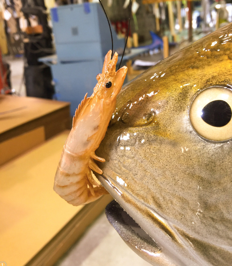Custom Redfish mount closeup at Gray Taxidermy Custom Redfish mount closeup at Gray Taxidermy