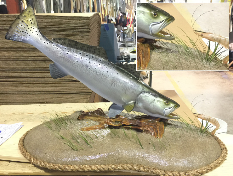 Spotted Seatrout fish trophy on custom base Spotted Seatrout fish on custom base