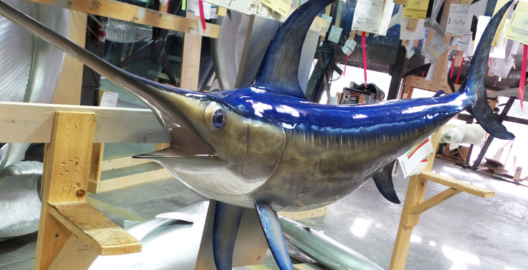 Swordfish reproduction at Gray Taxidermy Swordfish mount at Gray Taxidermy