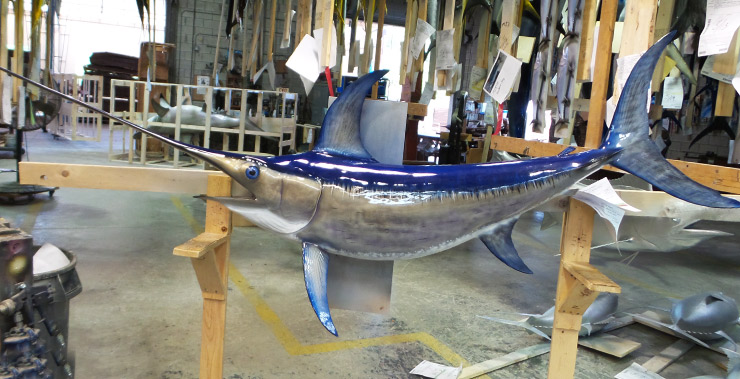 Swordfish reproduction at Gray Taxidermy Swordfish mount at Gray Taxidermy