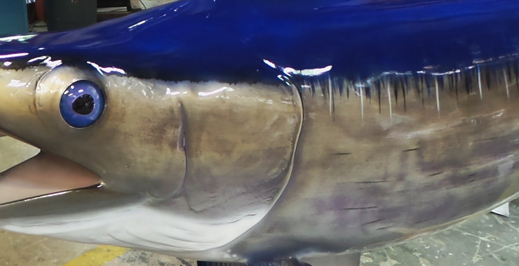Swordfish trophy mount at Gray Taxidermy Swordfish mount at Gray Taxidermy