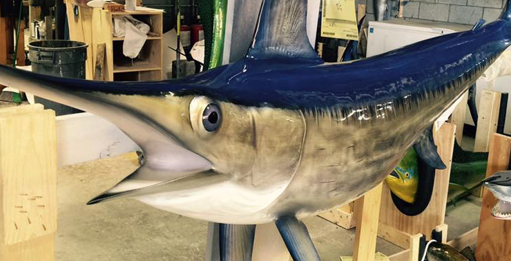 Swordfish mount trophy at Gray Taxidermy Swordfish mount at Gray Taxidermy shop
