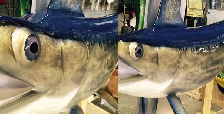 Swordfish mount ed fish at Gray Taxidermy Swordfish mount at Gray Taxidermy