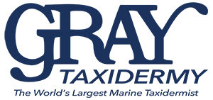 Gray Taxidermy Logo png Gray Taxidermy Logo