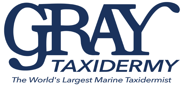Gray Taxidermy Logo png Gray Taxidermy Logo