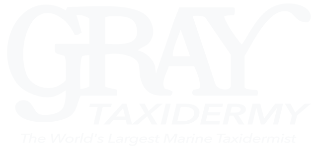 Gray Taxidermy Logo White png Gray Taxidermy Logo white png